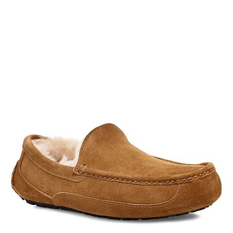 Ugg mascot slippers